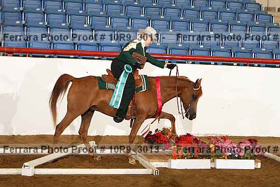 Proof 10r9_3013