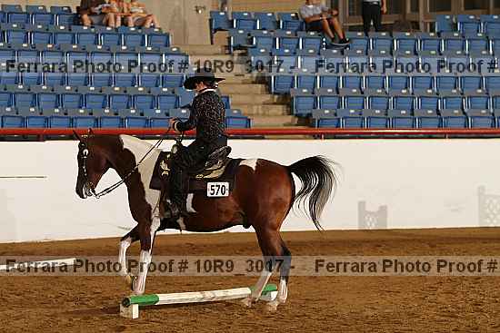 Proof 10r9_3017