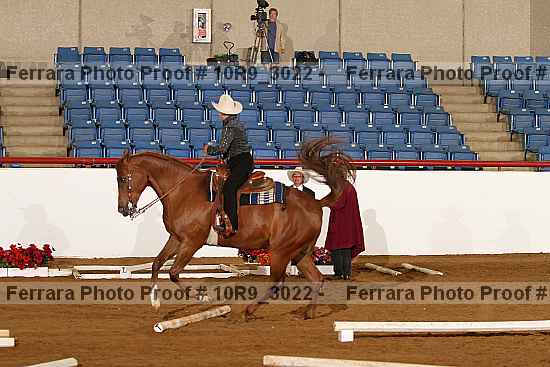 Proof 10r9_3022