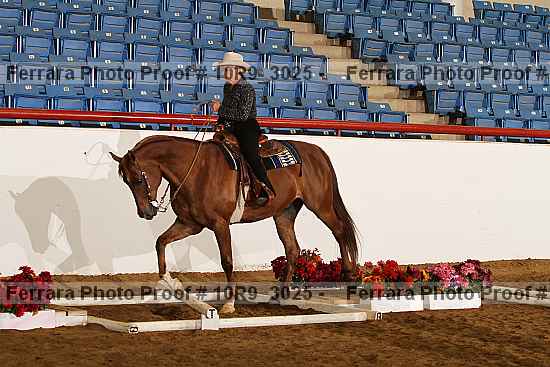 Proof 10r9_3025
