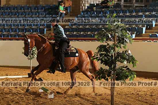 Proof 10r9_3028