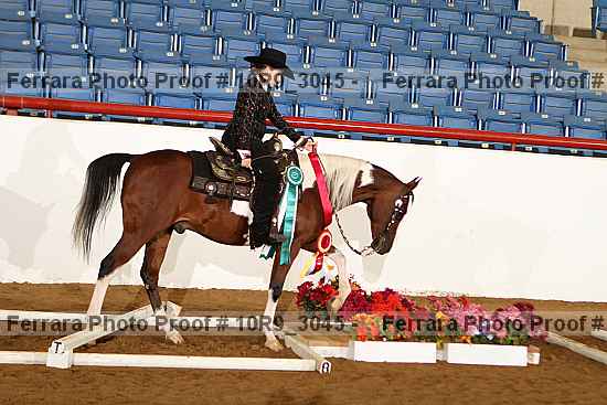 Proof 10r9_3045