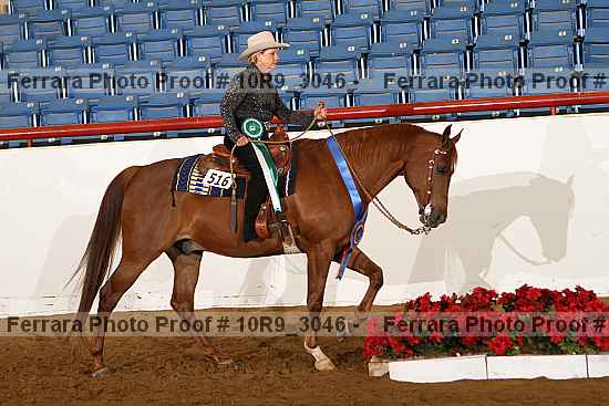 Proof 10r9_3046