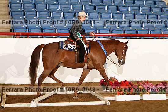 Proof 10r9_3048