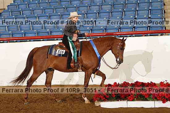 Proof 10r9_3051
