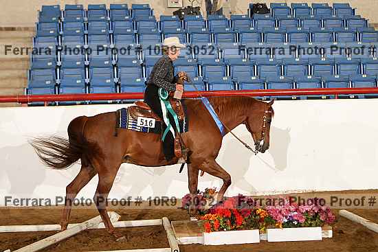 Proof 10r9_3052