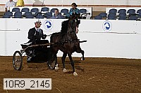 10r9_2145 proof