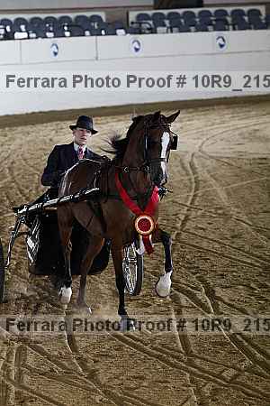 Proof 10r9_2153