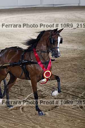 Proof 10r9_2154
