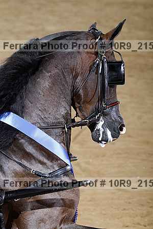 Proof 10r9_2157