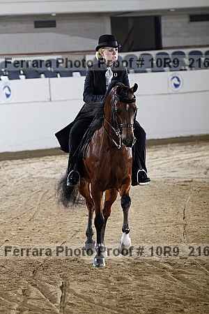 Proof 10r9_2163