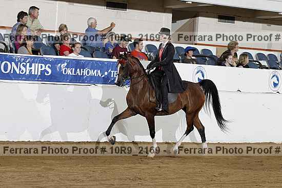 Proof 10r9_2169