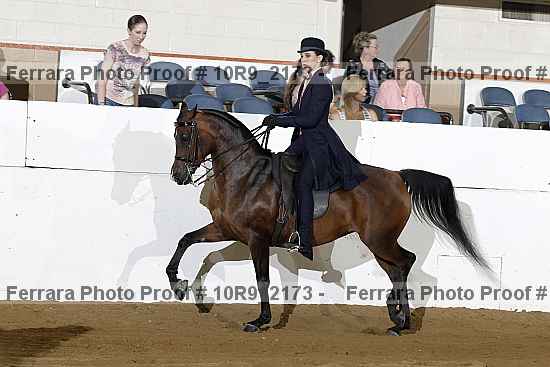 Proof 10r9_2173