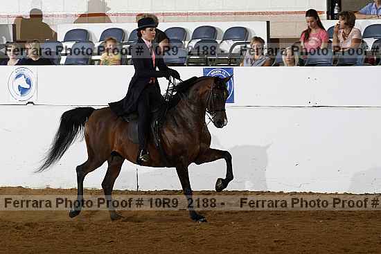 Proof 10r9_2188