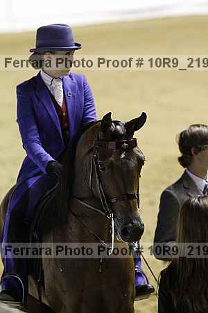 Proof 10r9_2195