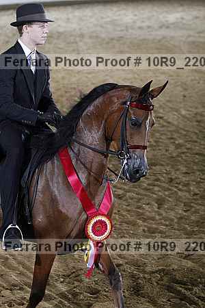 Proof 10r9_2204