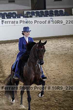 Proof 10r9_2207