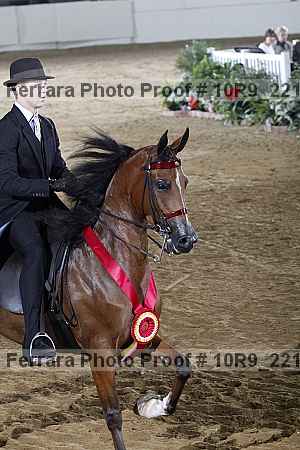 Proof 10r9_2211