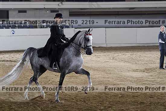 Proof 10r9_2219