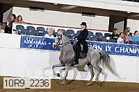 10r9_2236 proof