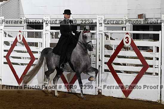 Proof 10r9_2239