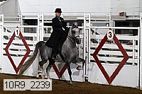 10r9_2239 proof