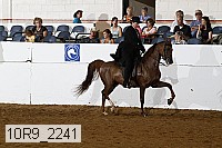 10r9_2241 proof