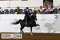 10r9_2244 proof