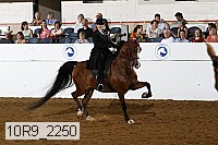 10r9_2250 proof