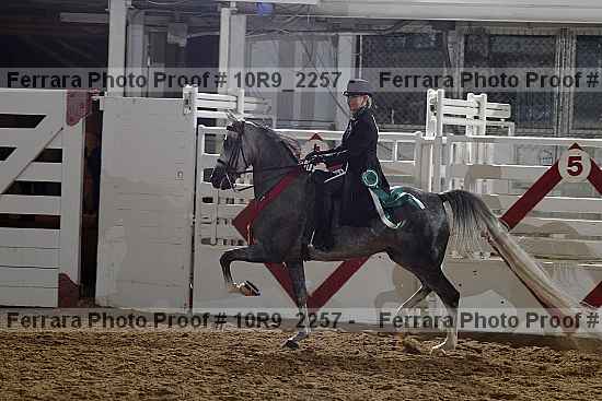 Proof 10r9_2257