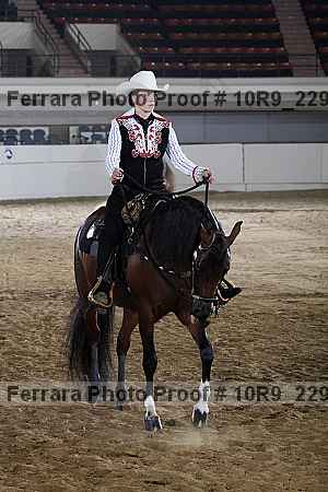 Proof 10r9_2295