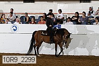 10r9_2299 proof