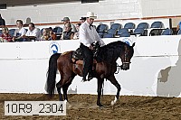 10r9_2304 proof