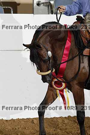 Proof 10r9_2319