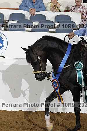 Proof 10r9_2325