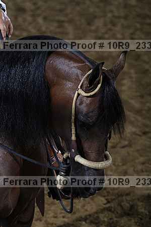 Proof 10r9_2330