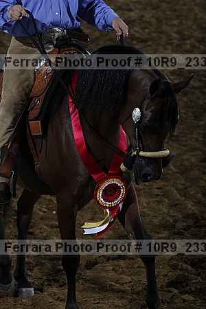 Proof 10r9_2337