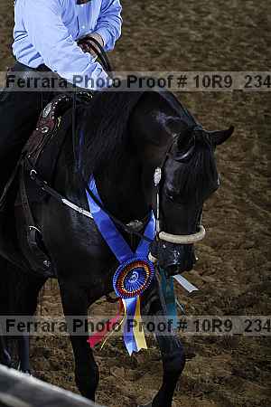 Proof 10r9_2341