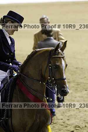 Proof 10r9_2363