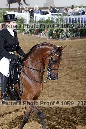 Proof 10r9_2374
