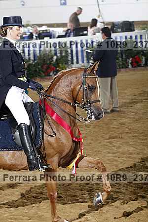Proof 10r9_2378