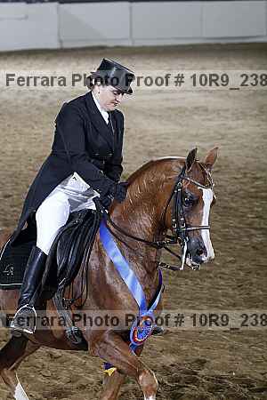 Proof 10r9_2381
