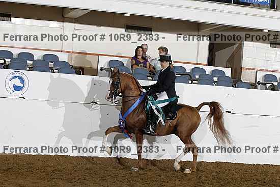 Proof 10r9_2383