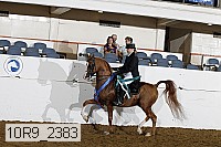10r9_2383 proof