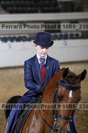 Proof 10r9_2397
