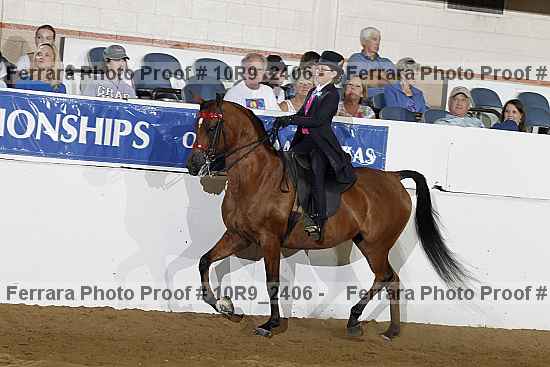 Proof 10r9_2406