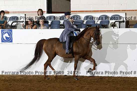 Proof 10r9_2412