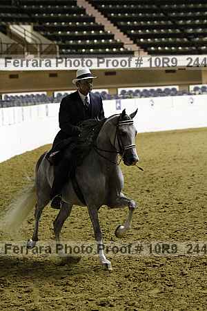 Proof 10r9_2449