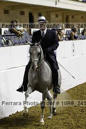 Proof 10r9_2456