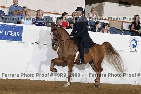 Proof 10r9_2460